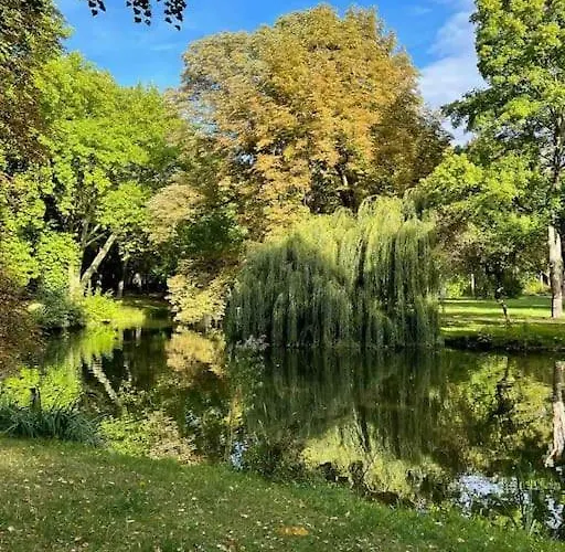 Ein Gemuetlicher Platz Im Gruenderzeitviertel * Chemnitz